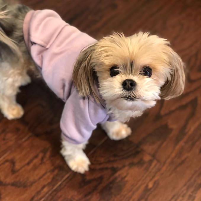 Jecikelon Winter Dog Hoodie Sweatshirts with Pockets Warm Dog Clothes for Small Dogs Chihuahua Coat Clothing Puppy Cat Custume (Purple, XX-Small)