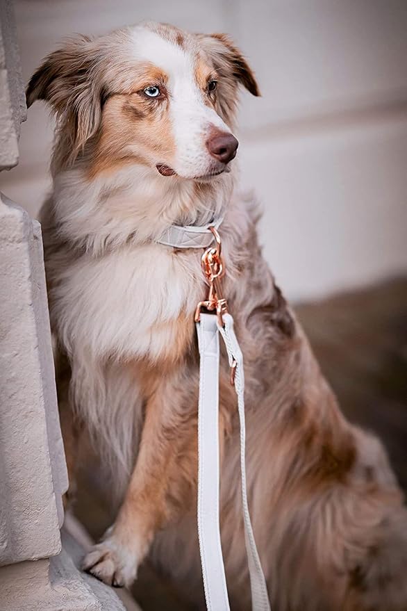 Soft Leather Dog Collar and Leash (6.6') Set - Stylish Rose Gold Heavy Duty Metal Buckle, 4 Adjustable Lengths Leash for Small Medium Large Dogs - Comfortable & Easy to Clean White L(15.4"-24.8")