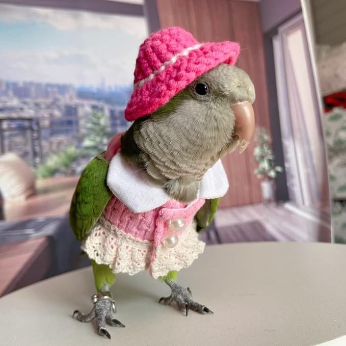 Alexandrine Bird Diaper Flight Suit - Pink Top Cosplay Photo Prop for Parrots, Lovebirds, Parakeets & Cockatiels