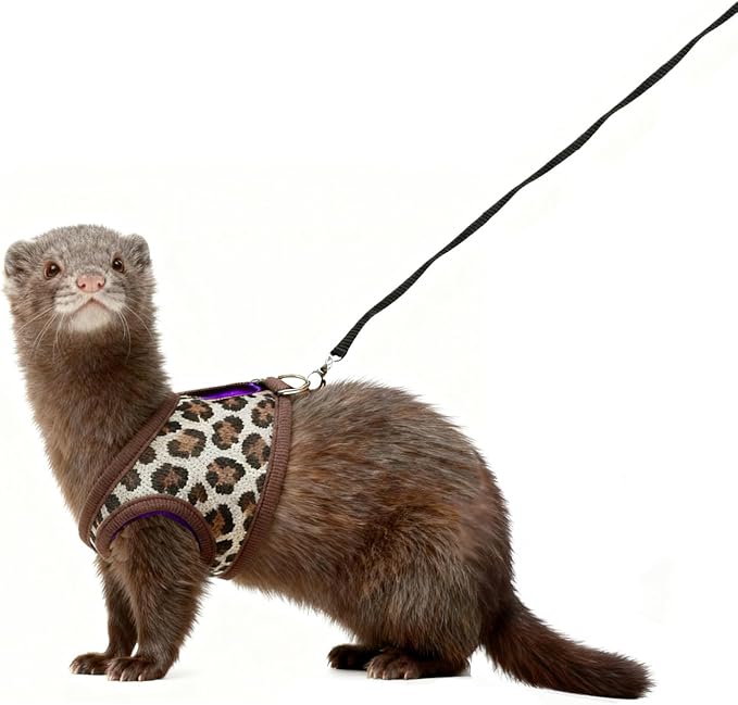 Ferret Harness and Leash Set, Adjustable Vest Harness for Ferrets, Cute Small Animal Harness for Guinea Pig, Squirrel, Rat, Safe Walking Accessories for Outdoor,Yellow