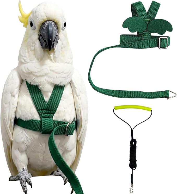 Adjustable Bird Harness with Elastic Leash, Pet Parrot Harness and Leash, Adjustable Training Design Anti-Bite, Bird Nylon Rope with Cute Wing for Conure (Deep Green,Sulphur-Crested Cockatoo)