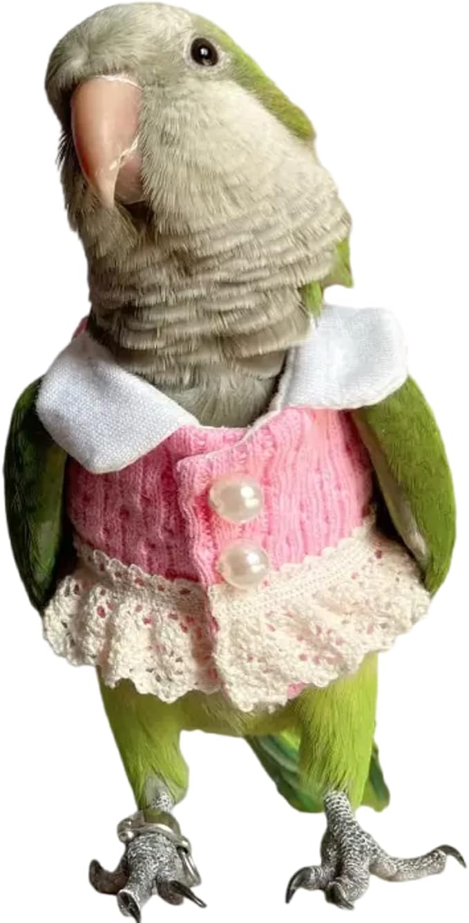 Bird Diaper Flight Suit - Pink Top Cosplay Photo Prop for Parrots, Lovebirds, Parakeets, Cockatiels & Small Animals - Crested Myna Size
