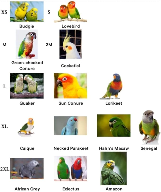Bird Diaper Cockatiel Clothes Flight Suite, Reusable Parrot Nappy with Waterproof Inner Layer, Cute Pigeon Pants Urine Wet Suit Costume for Conure Macaw (Blue C,2M)