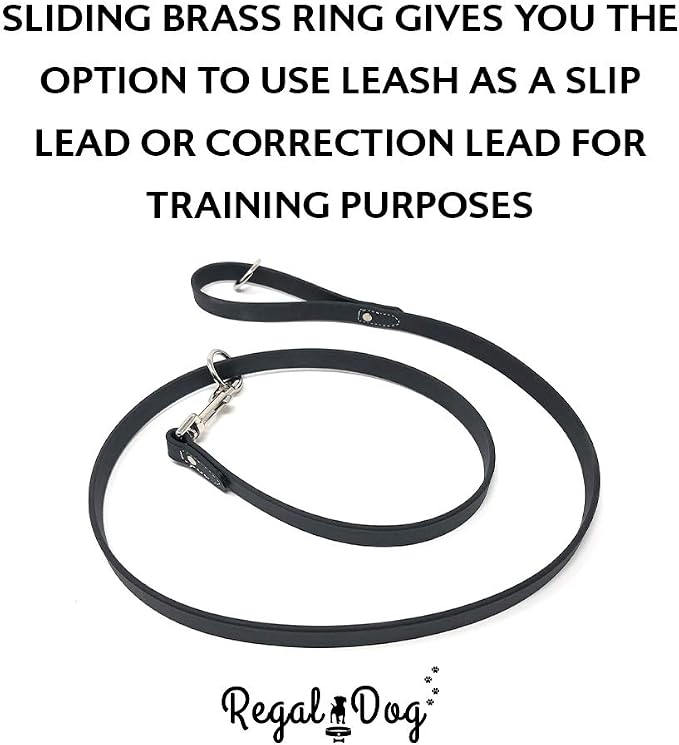 Regal Dog Products Large Black Waterproof Dog Collar and Leash Set | Heavy Duty Double Buckle & D Ring - 5'ft Leash | Adjustable Biothane Dog Collar | Chew Resistant Waterproof Collar for Dogs