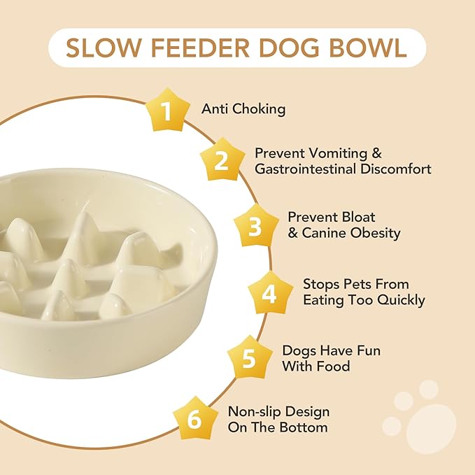 Havniva Ceramic 0.9 Cup Dog Bowl Slow Feeder, 6.1inch Slow Pet Food Dish for Small Dog and Cat, Stop Bloat, Preventing Choking(Single Bowl, Light Yellow)
