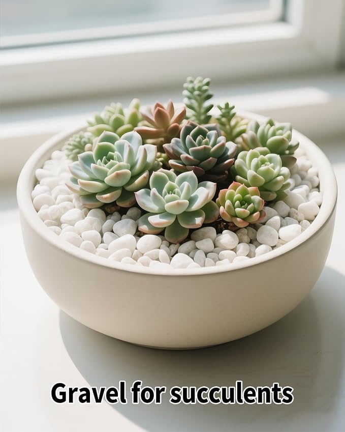 3LB White Succulent & Cactus Gravel Pebbles - 1/4-3/8 Inch Natural Polished River Rocks, Decorative Stones for Plants, Terrariums, Vases, Aquariums & Outdoor Gardening