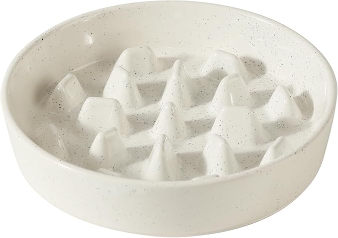 Havniva Slow Feeder Dog Bowls, 3.2 Cups Ceramic Dog Food Bowls 9.5 inch Slow Feeder for Large Dogs Puzzle Bowls for Fast Eater, Pet Slow Feeding Dish Anti-Choking