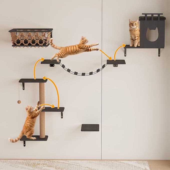 5-in-1 Cat Wall Shelves Set with Hammock, Wall-Mounted Cat Furniture Includes Condo, Bridge, Ladder & Steps for Indoor Cats, Safe & Stable (Dark Gray)