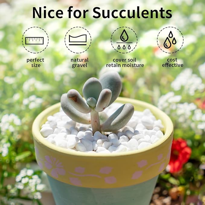 FANTIAN 2 lbs White River Rocks for Plants, 3/8 Inch Gravel Pebbles for Plants. Decorative White Stones for Succulents, Cactus, Vase and Outdoor Garden Landscaping