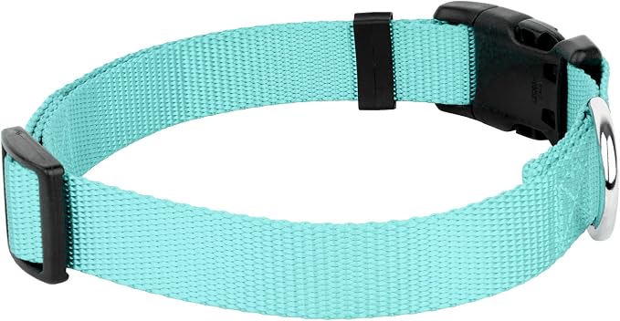Country Brook Petz - Everyday Nylon Dog Collar and Leash - 10+ Cool Colors (1 Inch, Extra Large, Light Cyan)