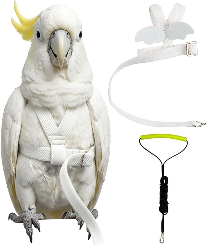 Adjustable Bird Harness with Elastic Leash, Pet Parrot Harness and Leash, Adjustable Training Design Anti-Bite, Bird Nylon Rope with Cute Wing for Conure (White,Sulphur-Crested Cockatoo)