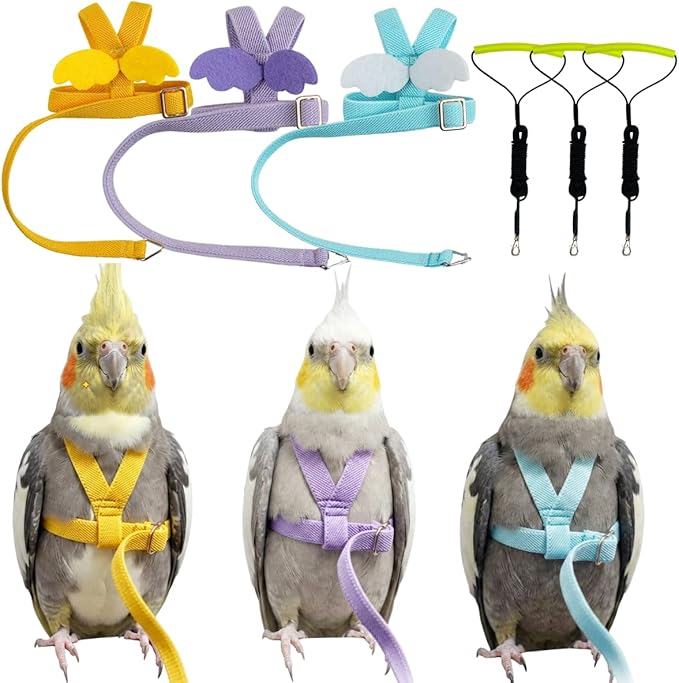 3 Pack Adjustable Bird Harness with Elastic Leash, Pet Parrot Harness and Leash, Adjustable Training Design Anti-Bite, Bird Nylon Rope with Cute Wing for Conure African Grey (2M)