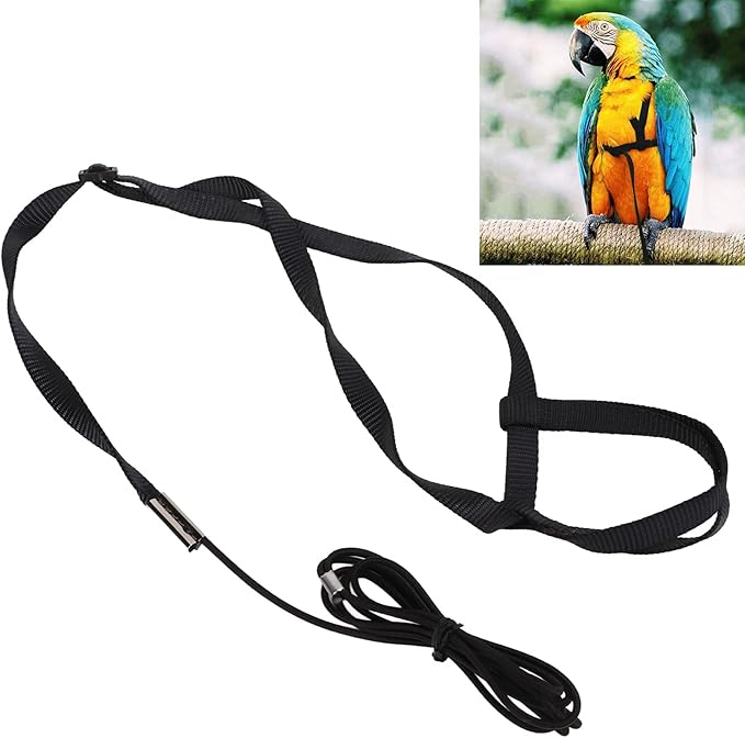 Parrot Harness Leash, Adjustable Buckle Elastic Rope Easy to Wear Convenient String for Cockatiel Lovebird Outdoor Playing Parties (XS)