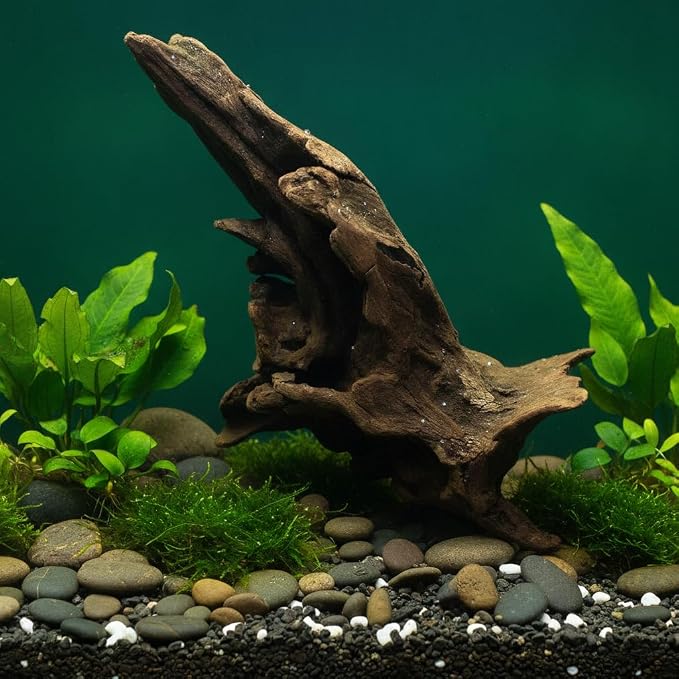 Natural Driftwood Tree Decoration for Aquarium, Fish Tank Plant Stump Ornament, Random Style(5-10cm)