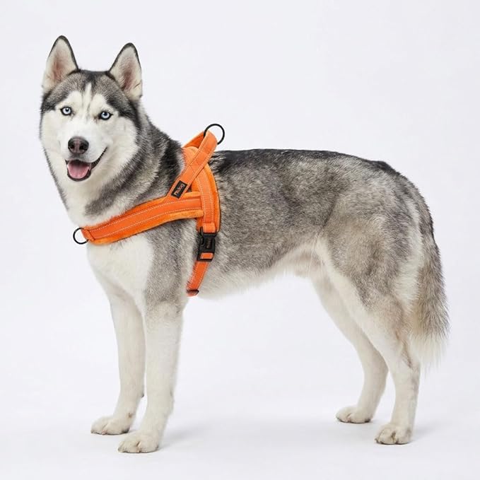 Didog Soft Flannel Padded Dog Vest Harness, No Pull/Quick Fit Reflective Dog Strap Harness, Easy for Training Walking (M:Chest 22-26", Orange)