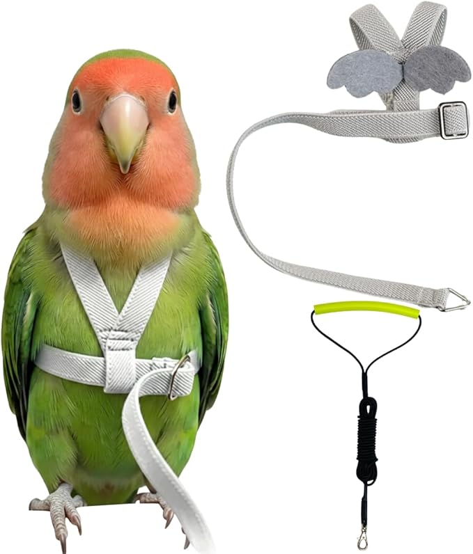 Adjustable Bird Harness with Elastic Leash, Pet Parrot Harness and Leash, Adjustable Training Design Anti-Bite, Bird Nylon Rope with Cute Wing for Conure (Grey,S)