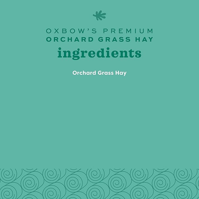 Oxbow Orchard Grass Hay, Rabbit & Guinea Pig Hay, High Fiber for Digestive Health, Grown in USA, Veterinarian Recommended Small Pet Supplies, Bulk Food for Rabbits, Guinea Pigs, & Chinchillas, 40 lbs