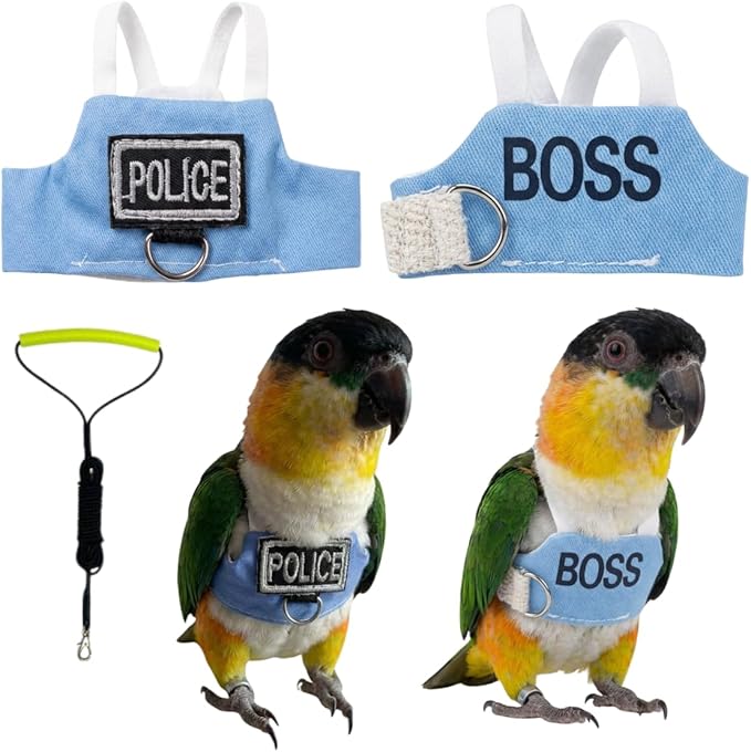 2 Pack Bird Flight Suit Vest, Adjustable Parrot Harness Clothes with Cute Design, Anti-Bite Outdoor Training Outfit for Parakeet, Cockatiel, Conure, Quaker, Budgie (XL,with Leash)