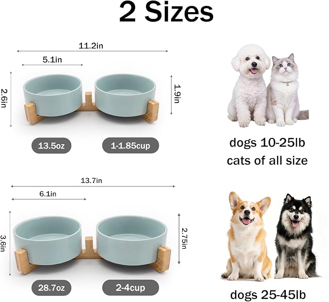 MateeyLife Ceramic Dog and Cat Bowls with Stand, 2-Pack Food and Water Bowl Set - Non-Slip Pet Bowls for Small & Medium Size Dogs，28.7OZ(Green)