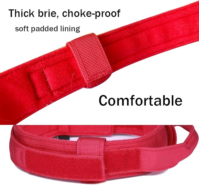 Xqpetlihai Tactical Dog Collar Adjustable Military Nylon Dog Collar with Control Handle and Heavy Duty Metal Buckle for Medium and Large Dogs (Red,M)