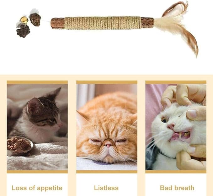 Silvervine Sticks for Cats,Cat Chew Toy for Dental Care,Silver Vine Sticks Cat,Natural Catnip Chew Toys for Kittens Teeth Cleaning,Cat Chew Sticks for Chewers,Edible Matatabi Cat Chew Sticks Toys