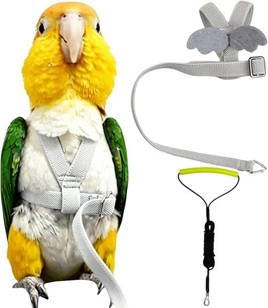 Adjustable Bird Harness with Elastic Leash, Pet Parrot Harness and Leash, Adjustable Training Design Anti-Bite, Bird Nylon Rope with Cute Wing for Conure (Grey,XL)