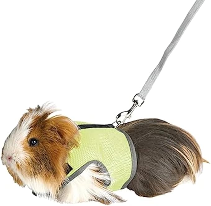 MANON ROSA Rabbit Harness and Leash Set - Adjustable Escape-Proof Training and Walking Gear for Guinea Pigs Bunnies Chinchillas Hamsters Ferrets Rats Kittens and Small Dogs Puppies Cats (Green,XL)