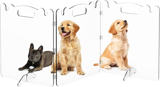 Clear Acrylic Pet Dog Gate - Folding Transparent Gates for Small Dogs Pets - Freestanding Foldable Tall Puppy Doggy Fence Door for Inside Indoor House Doorways Room Divider Barrier