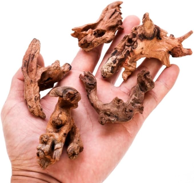Natural Driftwood Tree Decoration for Aquarium, Fish Tank Plant Stump Ornament, Random Style(5-10cm)