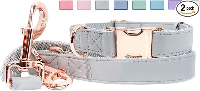 Soft Leather Dog Collar and Leash (6.6') Set - Stylish Rose Gold Heavy Duty Metal Buckle, 4 Adjustable Lengths Leash for Small Medium Large Dogs - Comfortable & Easy to Clean Grey XS(8"-12")