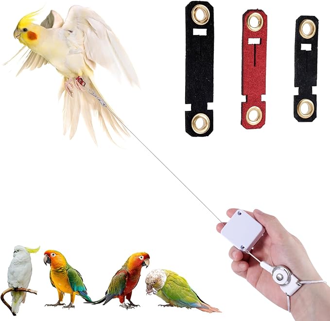 Retractable Bird Leash, 6.56ft Bird Harness with 3 Sizes of Foot Rings Parakeet Flying Ankle Harness Parrot Leg Leash Outdoor Flying Training Supplies Kit for Cockatiels Budgies (White)