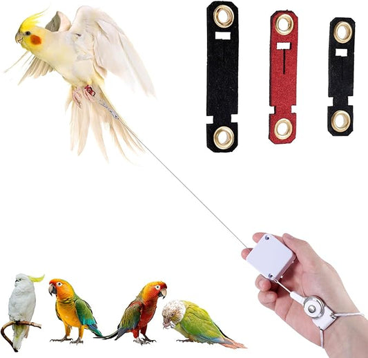 Retractable Bird Leash, 6.56ft Bird Harness with 3 Sizes of Foot Rings Parakeet Flying Ankle Harness Parrot Leg Leash Outdoor Flying Training Supplies Kit for Cockatiels Budgies (White)