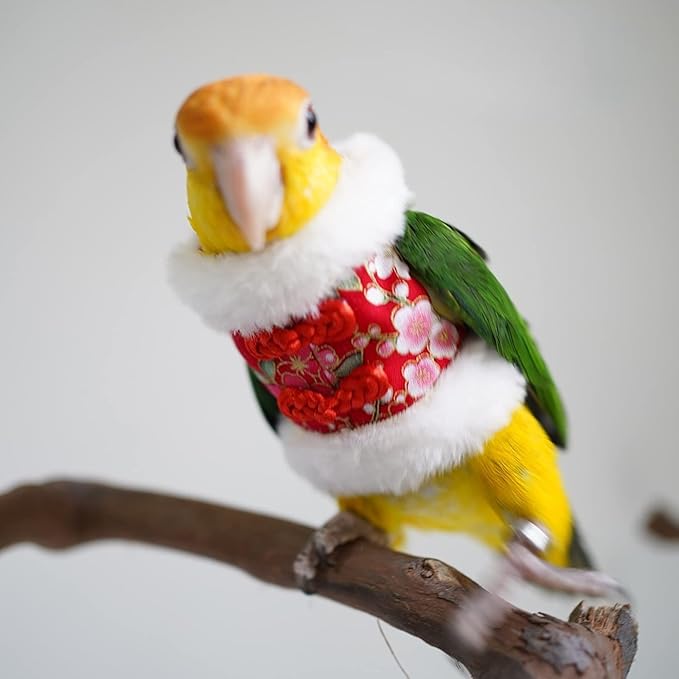 Bird Costume Flight Suit Clothes Cosplay Photo Prop for Parrots Parakeet Cockatiel Sun Conure, Hoodie Small Animals Apparel (Red, Large), Green (BPF1)