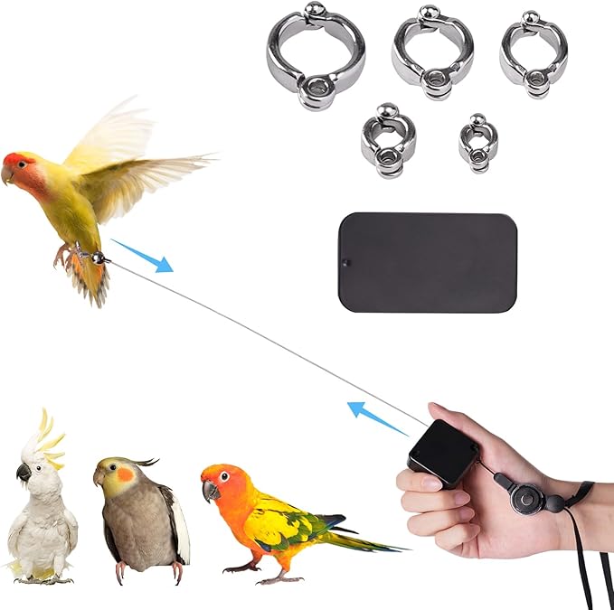 Bird Leash, with 5 Different Size Foot Ring and Feeder Box, Retractable Anti-Bite Parrot Harness, Bird Flight Training Rope for Budgies,Cockatiels,Psittacula Longicauda,Mini Macaws (13.12Ft)