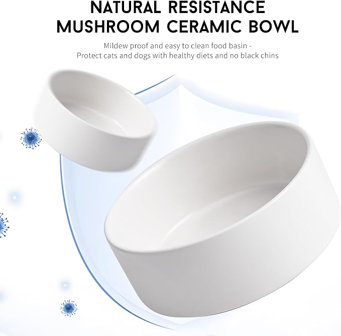 Mowtanco White Ceramic Dog & Cat Bowl Set – 13.5 OZ with Wooden Stand, Non-Slip, Elevated Design for Small Dogs & Cats – 2 Bowls (Food & Water, Ceramic Pet Bowls, Modern Dog Bowls)
