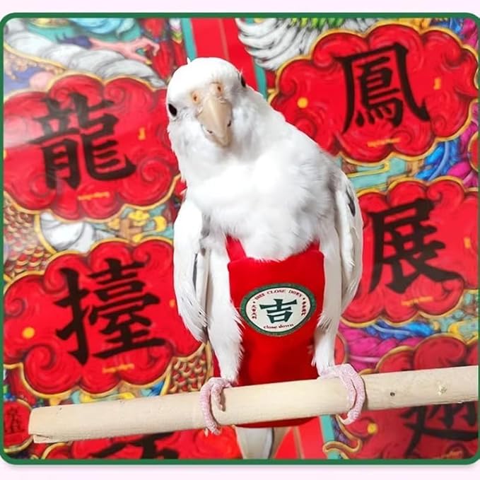 MANON ROSA Bird Diapers Leash Set Washable Reusable Handmade Flight Suit Waterproof Inner Layer - Protective Parrot Nappy Clothes Parakeets Macaws Budgies Canaries (Red5,Sun Conure)