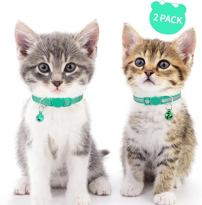 Taglory Kitten Collar Breakaway with Bell, Reflective Soft Cat Collar for Small Kittens, Adjustable 6-8 Inch High Visibility Night Strip, Lightweight for 2-6 Months Baby Cats, 2 Pack, Turquoise