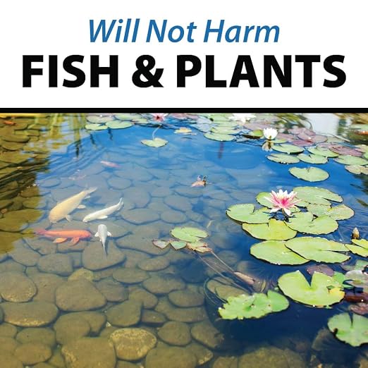 CrystalClear PondShock Ball Freshwater Clarifier, Enzymes Shock Treatment | Natural Live Bacteria Muck & Sludge Remover for Small Outdoor Water Garden Ponds. Koi Fish & Aquatic Plants Safe