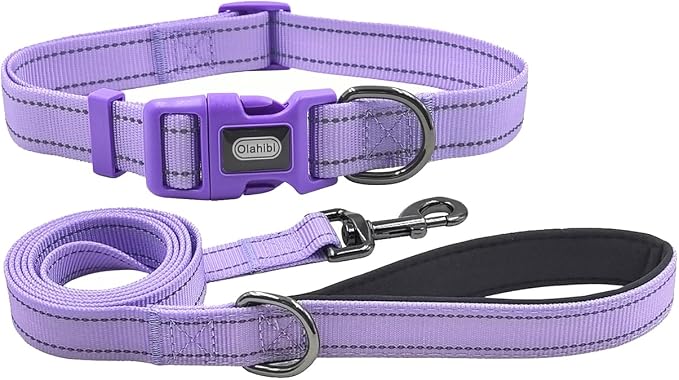 Dog Collar Leash Set,with Relfective Strips,Lilac Purple,Small. | Adjustable Collar,5 ft Matching Leash,Neoprene Padded Handle.