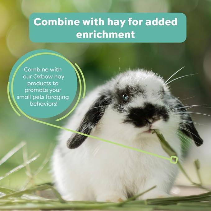 Oxbow Hay Toppers Meadow Blend, Bunny Treats, Foraging Enrichment for Rabbits, Chinchillas, Guinea Pigs, and Other Small Herbivores, Timothy Hay Topper, Premium Rabbit Food Additive, 2oz