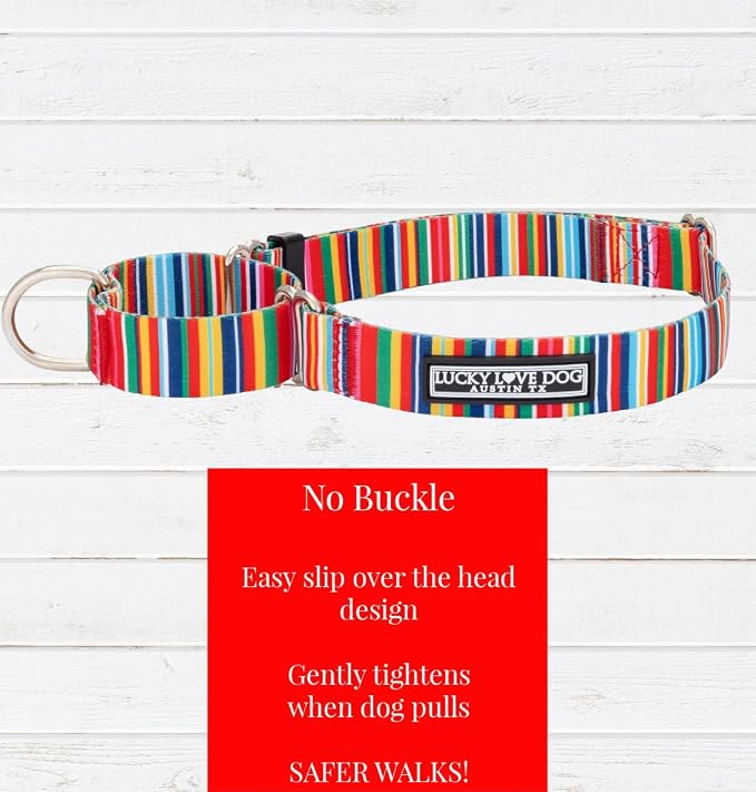 Lucky Love Dog Martingale Collar and Leash Set, Premium No Slip Collar and Leash Set, Colorful Hippie Martingale Color for Large Dogs, Great for Whippets, Greyhounds, and More (Hippie, Large - Combo)