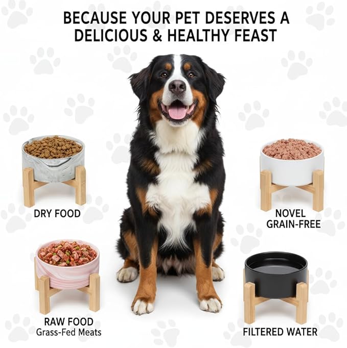 Elevated/Raised Ceramic Dog Bowl with Bamboo Stand,8 inch 7.6 Cups Non-Slip Heavy-Weighted Single Pet Dish, Reduces Neck Strain Black