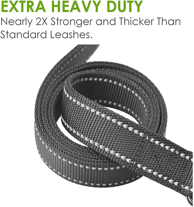 Heavy Duty Dog Leash - 2 Handles by Padded Traffic Handle for Extra Control, 6foot Long - Perfect for Medium to Large Dogs (6 ft, Bright Green)