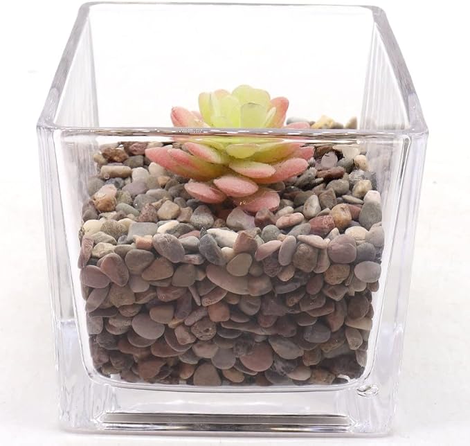 Black Earth Rocks for Plants & Planters, Decorative Pebbles, 1/5", 10 lb