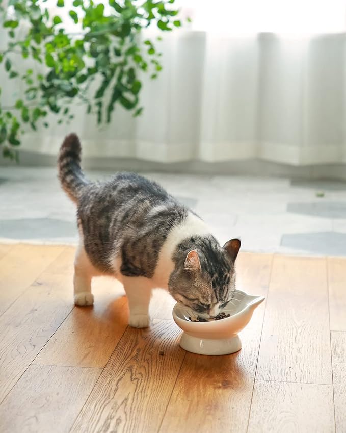 Raised Cat Food Bowl Ceramic 15° Tilted Cat Food Bowls Protect Cat's Spine Anti Vomiting Backflow Prevention for Adult, Kitten, and Small Dogs, White