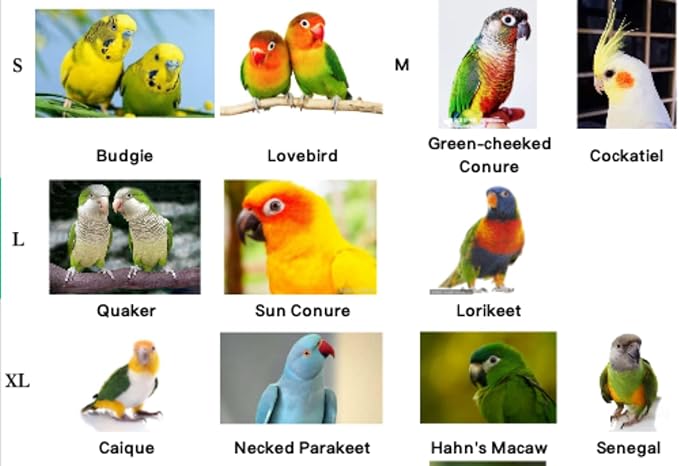 Pet Parrot Bird Harness Leash Adjustable Bird Flying Harness Traction Rope with Cute Wing for Parrots Pigeons Budgerigar Lovebird Cockatiel Mynah Outdoor Training Toy (L, Blue)