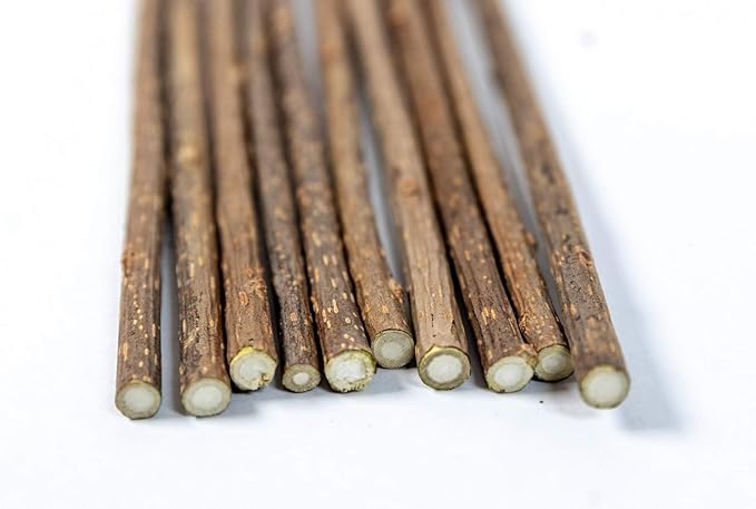 Meowy Janes Extra Long Matatabi Chew Sticks - 2X Length - an All Natural Silvervine Cat Toy and Cat Treat - Catnip Alternative