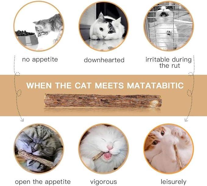 WoLover 10 PCS Cat Catnip Sticks, Natural Matatabi Silvervine Sticks - Cleaning Teeth Molar Tools Kitten Chew Toy Natural Catnip Cats Toy