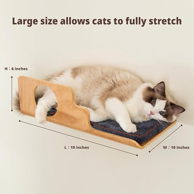 LIORCE Cat Wall Shelves, Creative Design Cat Shelf with Peephole, 19 x 10 inch Cats Wall Furniture with Comfortable Pad, Cats Perch for Sleeping, Playing, and Scratching.