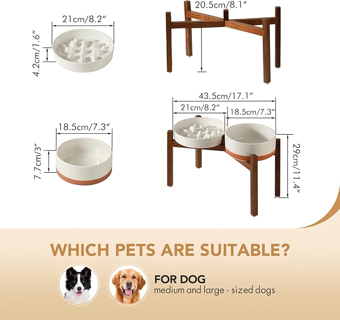 Havniva Elevated Slow Feeder Dog Bowls, 1.6 Cups/8.2 inch Slow Feeders + 7.3 inch Ceramic Dog Food & Water Bowls Set with Acacia Wood Stand Puzzle Bowls for Fast Eater, Medium Dogs Anti-Choking